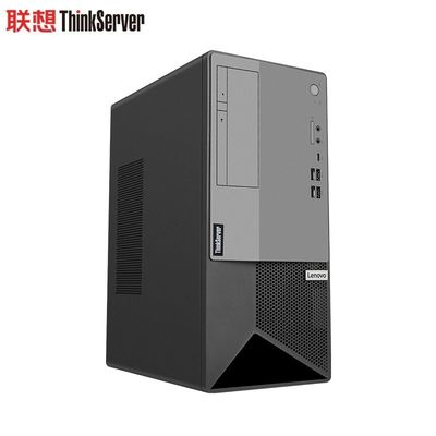 レノボ ThinkServer T100C G6400 8G 1T 中小企業向けタワーサーバー